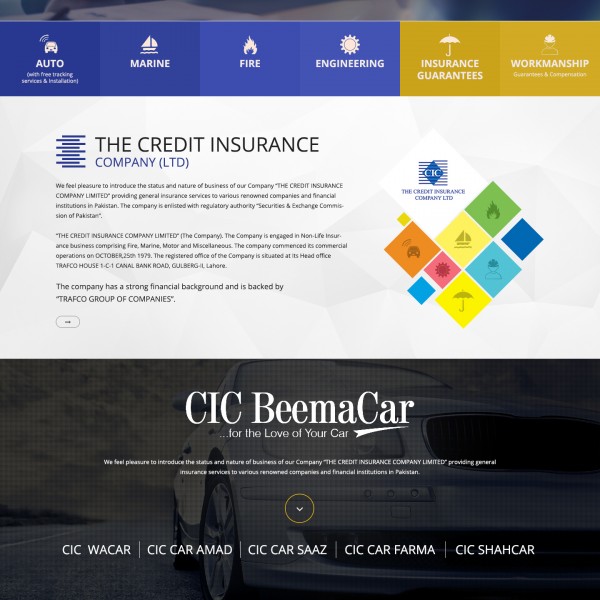 Credit-Insurance-Web-Design